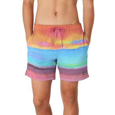 Stylish Sunset Engineered Printed Volley 17