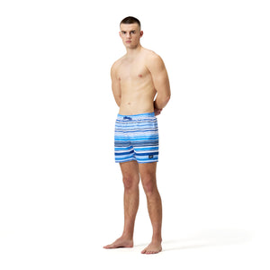 Faded Bands Digital Printed Leisure 16" Watershort